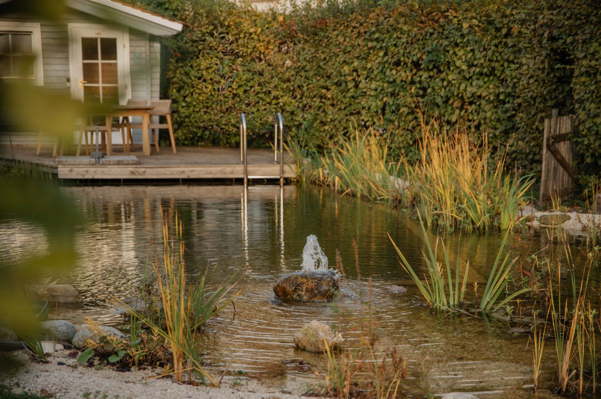 Bilderwelt Gartengestaltung - Nauturteich mit Sitzecke im Hintergrund